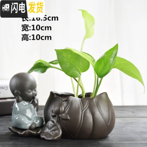 三维工匠创意绿萝水培花瓶容器鲜花植物插花水养花盆器皿客厅装饰品小摆件 睡莲花器-勿言 中等花盆容器