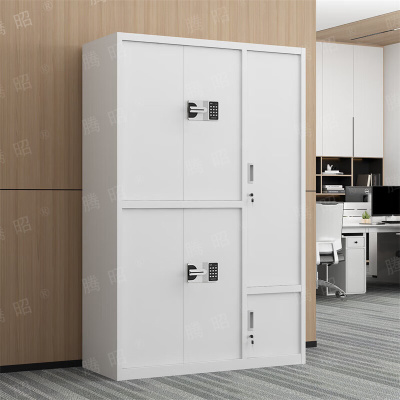 腾昭钢制保密柜文件更衣柜档案办公储物柜 灰白色六门国保锁