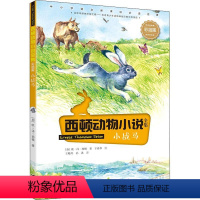 [正版]接力出版社西顿动物小说全集·小战马 彩绘版 E.T.西顿/著 儿童动物故事书 经典儿童绘本