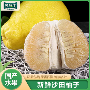 [苏鲜生]新鲜梅州沙田柚子 特大果 净重4.7斤 2个 新鲜柚子水果 蜜柚