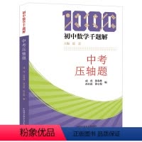 中考压轴题 初中通用 [正版]初中数学千题解 中考压轴题 思美成虎徐森林孙有进等七八九年级789年级数学专项训练反比例