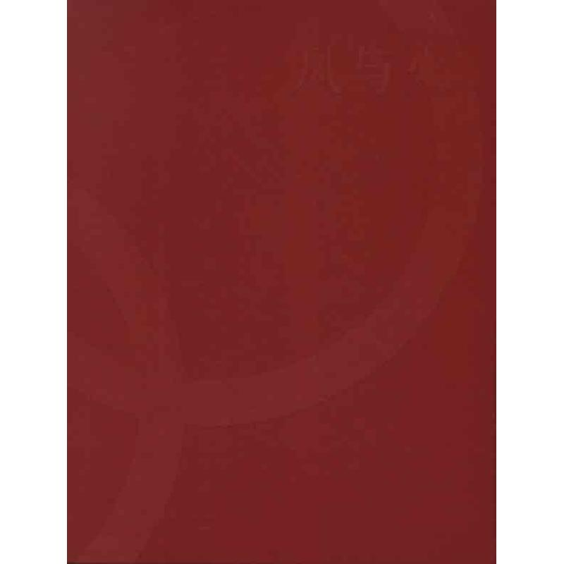 正版新书]凤与火-北京2008年奥林匹克运动会火炬接力形象景观设