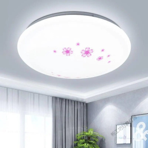 苏宁放心购 LED圆形吸顶灯客厅卧室灯现代简约客厅书房阳台餐厅现代灯具