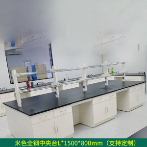 正斌全钢实验台钢木PP边台柜试验台化验室工作台实验室桌操作台定制(每米单价)[工厂现做 7天内发货]