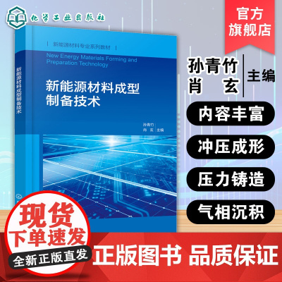 新能源材料成型制备技术 各类新能源器件制备知识与技术 典型新能源器件生产实例 新能源材料与器件 新能源科学与工程专业教材