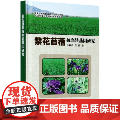 紫花苜蓿抗寒转基因研究 徐春波 王勇 编 9787511649911 中国农业科学技术出版社