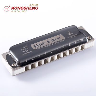 孔声10孔布鲁斯口琴蓝调十孔专业晋级演奏成人高级口琴吹奏乐器