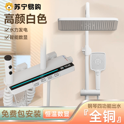 淋浴花洒套装家用全铜恒温浴室卫浴淋雨增压花晒沐浴淋浴器2005