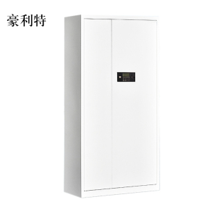 豪利特文件柜电子密码锁财务档案柜保险柜资料柜铁 通体密码锁