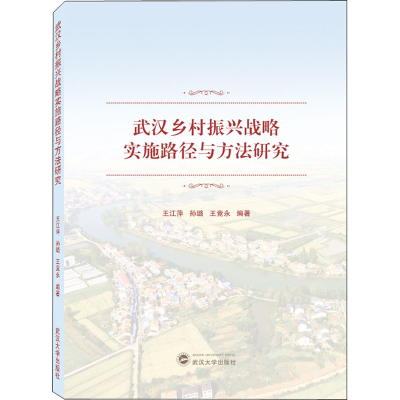 正版新书]武汉乡村振兴战略实施路径与方法研究王江萍、孙璐、王