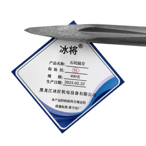 冰将 电锤尖扁凿五坑镐尖工具冲击钻头 个