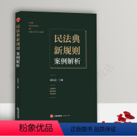 [正版]新书 民法典新规则案例解析 郭伟清 上海二中院 解读民法总则 民法典热点问题 以案释法 解释规则 司法适用实务