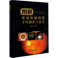音像图解玻璃体视网膜手术操作与技巧雷春灵编