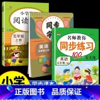 [3本上册]阅读理解+同步练字帖+同步练习 小学五年级 [正版]2025新版英语阅读理解专项训练书五年级上册下册彩绘版