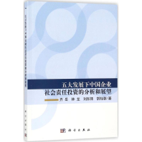 音像五大发展下中国企业社会责任的分析和展望齐岳 等 著