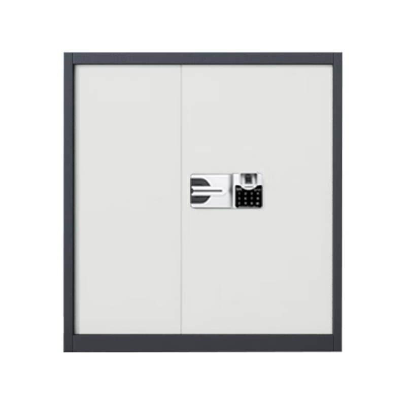 企诺保密柜文件柜铁皮柜员工柜资料柜灰框白门QNGCFO-06GZGW