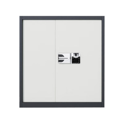 企诺保密柜文件柜铁皮柜员工柜资料柜灰框白门QNGCFO-06GZGW