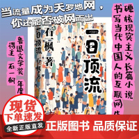正版 一日顶流 鲁迅文学奖年度中国好书得主石一枫长篇小说新作以硬核现实主义书写当代中国人的互联网生活史现代文学小说书籍
