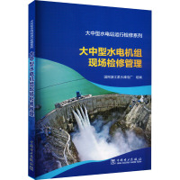 大中型水电机组现场检修管理