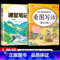 [全套2本]看图写话+课堂笔记语文人教版 二年级下 [正版]看图写话一年级二年级上册下册人教版老师每日一练专项强化训练范