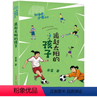 追赶太阳的孩子 [正版]2022贵州新学期阅读新四年级 全4册 铁血战鹰队-出征,维和的勇士! 丑虎 小学语文快乐读书吧