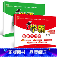 语文+数学(北师大) 二年级下 [正版]2024春新经纶小学学霸提优大试卷一年级下册二四五六三年级上册语文人教数学苏教英