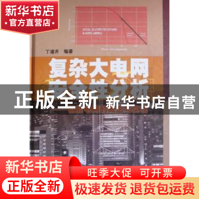 正版 复杂大电网安全性分析:智能电网的概念与实现 丁道齐编著 中