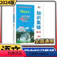 语文 初中通用 [正版]知识集锦初中语文 全国通用培优宝典初升高语文知识大集结培优宝典文科爱好者 中学生初中七八九年级中