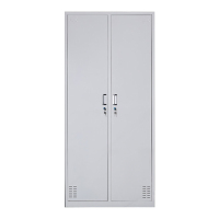 东升顺收纳柜财务档案柜资料柜加厚文件柜办公室带锁铁皮柜二门更衣柜