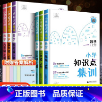 [单本]数学知识点集训 二年级上 [正版]2023秋 53小学数学知识点集训汇总总结 小儿郎5.3天天练一年级上册二年级