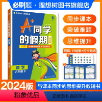 数学 人教版 六年级下 [正版]理想树新品小学必刷题2024新版A+同学的假期 数学六年级下 周末版