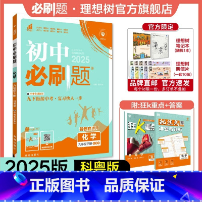 化学 KY 九年级下 [正版]理想树2025版初中必刷题九年级下册化学科粤版KY初三必刷题同步练习中考复习资料模拟题辅导