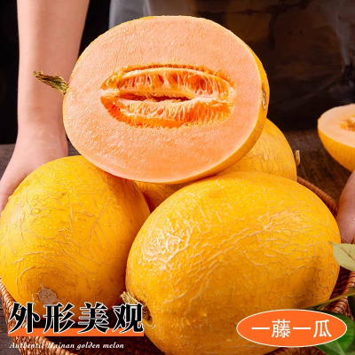 [熊猫鸟]新鲜黄金哈密瓜 净重4.5斤 2-3个 应季水果 新鲜甜瓜 鲜果