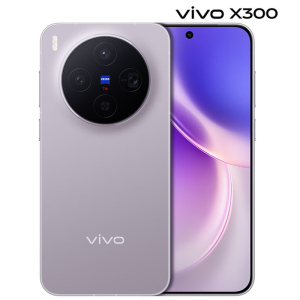 vivo X300 16GB+1TB 惬意紫 6040mAh电池 天玑9500 蔡司2亿主摄 持久流畅 拍照 AI 5G手机