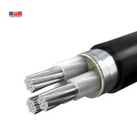 常顺鑫 低压铝芯电缆ZC-YJLV22 3×35 米