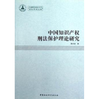 音像中知识权刑法保护理论研究黄洪波著