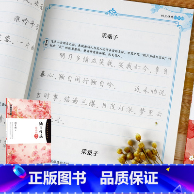 [5册套装]女生唯美字帖描红套装 [正版]墨点钢笔字帖成年楷书硬笔书法字帖描红字帖正楷纳兰性德饮水词湖北美术出版社墨点字