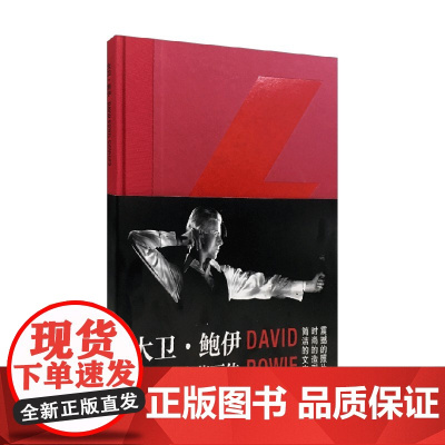 大卫 鲍伊 克里斯·韦尔奇 著 音乐