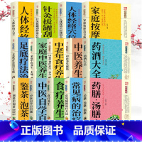 人体经络+针灸按摩 [正版]全15册家庭中医养生人体经络针灸按摩大全图解手法 经络穴位快速记忆 全身经络书籍大全 零基础