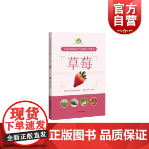 上海市果树全产业链生产技术:草莓 上海科学技术出版社