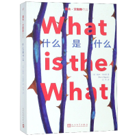 音像什么是什么/戴夫·艾格斯作品(美)戴夫·艾格斯|译者:陈伟
