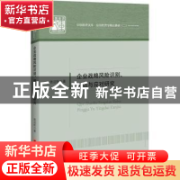 正版 企业战略风险识别、评估与应对研究 商迎秋著 中国经济出版