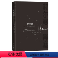 [正版]荒原狼赫尔曼黑塞著长篇小说德语文学人民文学