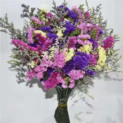 京弗云南干花勿忘我满天星家居装饰花真花插花永生花客厅花束卧室摆件
