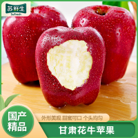 [西沛生鲜]甘肃花牛苹果蛇果甜美可口 净重4.5斤 小果 果径65-70mm 新鲜当季水果