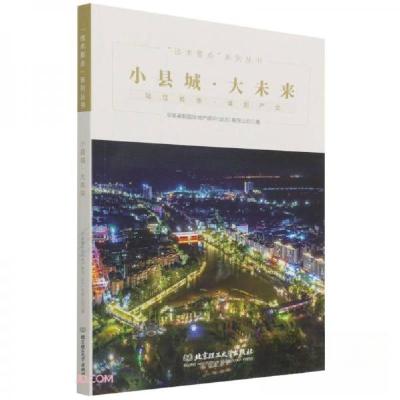 正版新书]小县城·大未来 站位城市·谋划产业[16开 ]华高莱斯国