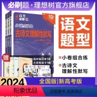 语文[2本套] 全国通用 [正版]理想树2024新版高考必刷题分题型强化语文小卷组合练古诗文理解性默写72篇高三高考模拟
