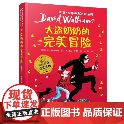 《大盗奶奶的完美冒险》(2023年百班千人暑期书单 三年级阅读)