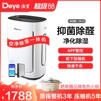 德业(Deye)家用空净除湿一体机DYD-U20A3 空气净化甲醛颗粒物抽湿机20-30升/天 微电脑式 智能轻音
