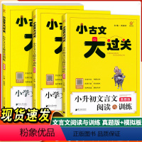 [套装3本]小学文言文阅读与训练 小学升初中 [正版]全国通用 2024小古文大过关小升初文言文阅读与训练真题版模拟板小
